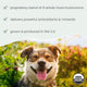 Bark & Whiskers® Organic Fermented Mushroom Blend