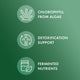 Fermented Chlorella