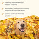 Bark & Whiskers® Seasonal Support