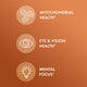 Curcumin Advanced