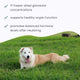 Bark & Whiskers® Glandular Support - Male