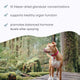 Bark & Whiskers® Glandular Support - Female
