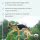 Bark & Whiskers® Organic Vitamin B Complex