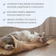 Bark & Whiskers® Probiotics + Enzymes