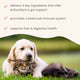 Bark & Whiskers® Immune Support