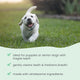 Bark & Whiskers® Gentle Dental Chew Bones - Small