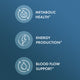 Biothin® Organic MCT Oil
