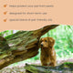 Flea and Tick Defense
