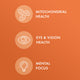 Organic Curcumin Extract