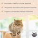 Bark & Whiskers® Organic Curcumin