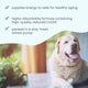Bark & Whiskers® Ubiquinol Liquid Pump