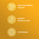 Liposomal CoQ10