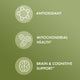 Organic Ginkgo Biloba with NeuroFactor®