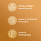 Organic Maca