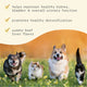 Bark & Whiskers® Bladder Support