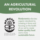 Solspring® Hot Sauce, Biodynamic® Organic - Medium