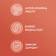 Liposomal Glutathione