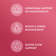 Herbal Adrenal Support