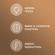 Organic Lion's Mane Mushroom Extract