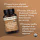 Organic Lion's Mane Mushroom Extract
