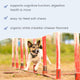Bark & Whiskers® Brain Boost Bites